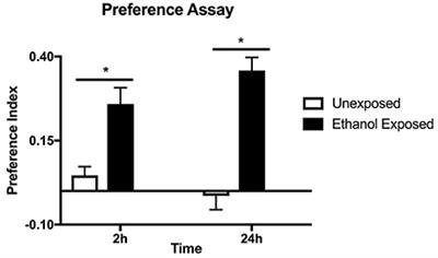 Naltrexone Reverses Ethanol Preference and Protein Kinase C Activation in Drosophila melanogaster